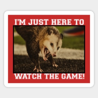 Texas College Football Game Possum Meme Magnet